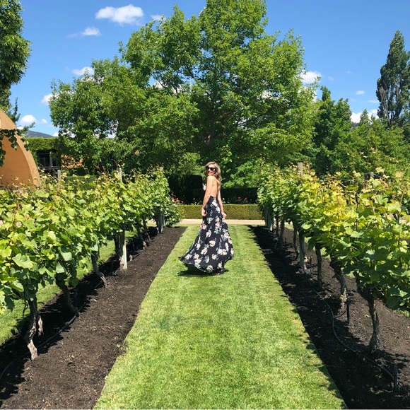 Show Me Your Mumu Maxi Dress - Picture 6 of 6